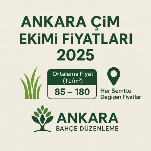 ✅ 2025 Ankara Çim Ekimi Fiyatları