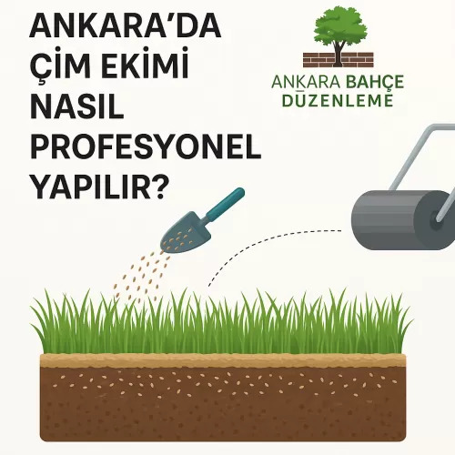 ✅ Ankara Çim Ekimi 