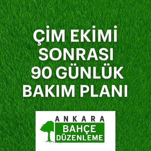 ✅ Ankara Çim Ekimi Sonrası Bakım