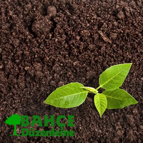 ✅ Ankara’da 1 Kamyon Bahçe Toprağı Kaç TL?