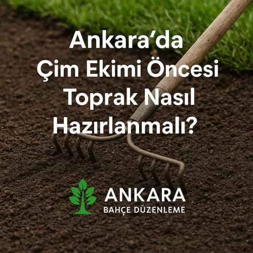 ✅ Ankara’da Çim Ekimi Öncesi Toprak Nasıl Hazırlanmalı?