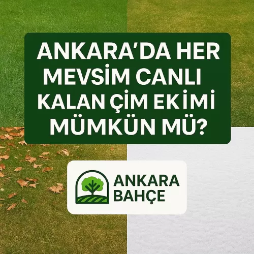 ✅ Ankara’da Her Mevsim Çim Ekimi