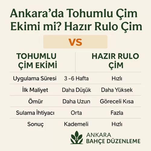 ✅ Ankara’da Tohumlu Çim Ekimi mi?
