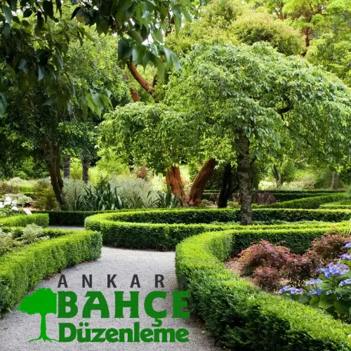 Ankara Profesyonel Bahçe Düzenleme Firması