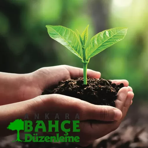 ✅ Doğal Hayvansal Gübre Satışı