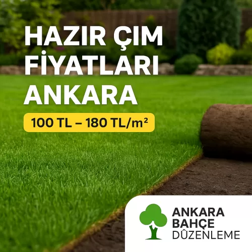 ✅ Hazır Çim Fiyatları Ankara En Güncel m² Fiyatları