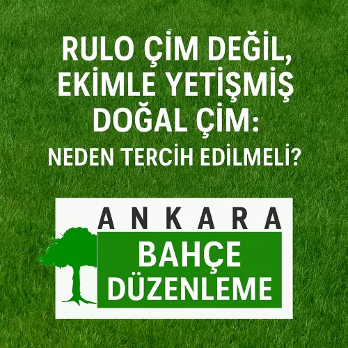 ✅ Rulo Çim Değil, Ekimle Yetişmiş Doğal Çim