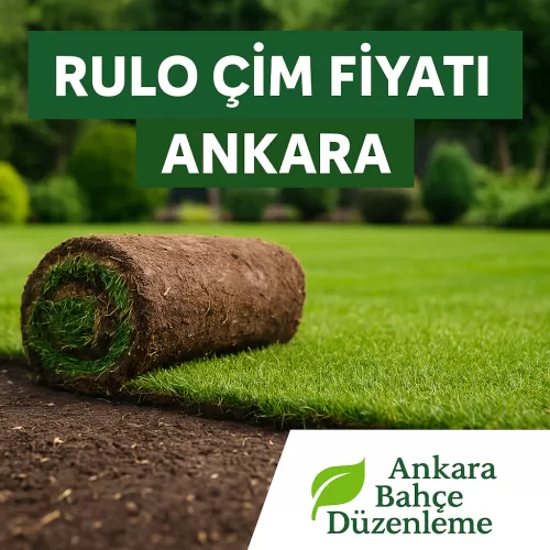 ✅ Rulo Çim Fiyatı Ankara