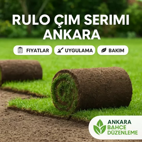 ✅ Rulo Çim Serimi Ankara